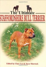 Ultimate staffordshire bull for sale  ROSSENDALE