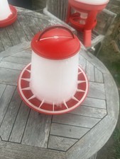 1.5kg feeder chicken for sale  NORTHAMPTON