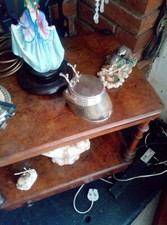 Rowland ward taxidermy for sale  NANTWICH