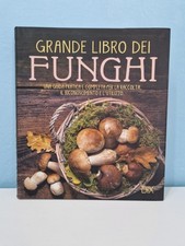 Grande libro dei usato  Rimini