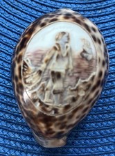 cypraea tigris d'occasion cypraea tigris d'occasion Theix