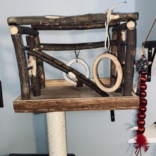 Rustic wood parrot for sale  Meriden