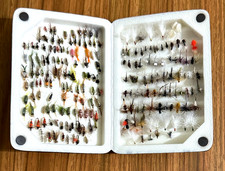 flying fish for sale flying fish for sale Tulsa