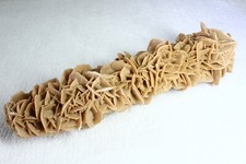Seltene form einer gebraucht kaufen  Herborn
