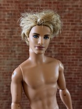 2011 ken fashionistas for sale  Peoria
