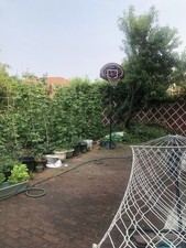 lifetime 52 basketball hoop for sale  Maspeth
