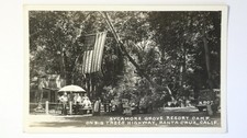 Big tree highway for sale  Pollock Pines