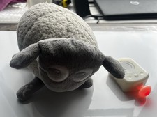 ewan dream sheep for sale  SUNDERLAND