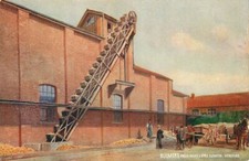 Tuck postcard bulmer for sale  Saint Joseph