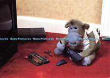 D072818 monkey shown for sale  WARLINGHAM