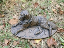 Martin dog golden for sale  North Bennington