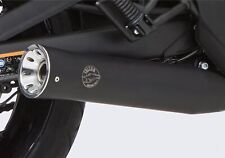 Auspuff falcon double gebraucht kaufen  Uetze
