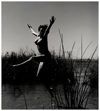 André dienes esquire d'occasion  Pagny-sur-Moselle