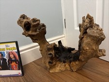 Large driftwood aquarium for sale  DARTFORD