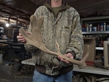 Nice fallow shed for sale  Montrose