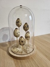 Quail eggs bell d'occasion  Expédié en Belgium
