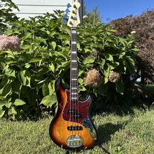 Lakland skyline james for sale  Indianapolis