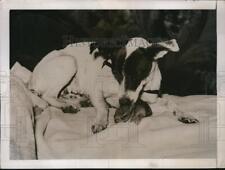 1937 press photo for sale  Memphis