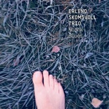 Noshk blues erlend gebraucht kaufen  Versand nach Germany