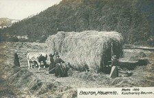 Ansichtskarte beuron heuernte gebraucht kaufen  Eggenstein-Leopoldshafen