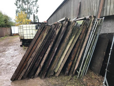 Temporary field horse for sale  OSWESTRY