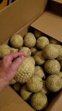 Dozen count used for sale  Boulder
