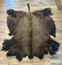 Genuine buffalo bison for sale  Eagar
