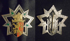 Insigne militaire régiment d'occasion  Meung-sur-Loire