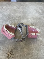 Antique dental training for sale  Martinez