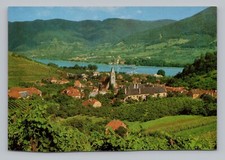 Postcard spitz und d'occasion  Expédié en Belgium