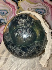 Visionary hatchlings dragon for sale  Crown Point