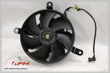 Honda cbr900 sc44 gebraucht kaufen  Kaisersesch