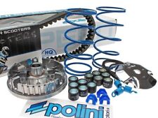 Polini kit variatore usato  Palermo