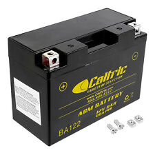 Caltric agm battery for sale  Knoxville