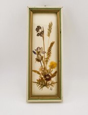 Vintage framed dried for sale  Carson City