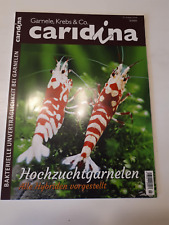 Caridina garnele krebs gebraucht kaufen  Bexbach