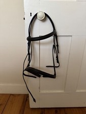 Equestrian brown cob for sale  ETCHINGHAM