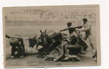 Foto legion condor gebraucht kaufen Foto legion condor gebraucht kaufen  München