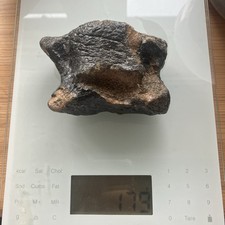 Extinct ice age for sale  BARKING