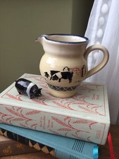 Eden pottery jug for sale  SUNDERLAND