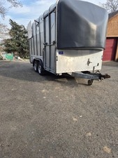 Ifor williams horse for sale  GALASHIELS