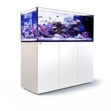 Red sea reefer for sale  Toms River