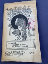 1907 brucke bellezza usato  Italia