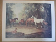 Raoul millais signed for sale  SAXMUNDHAM
