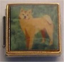 Shiba inu painted for sale  Huntington Station