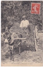Sologne litter collector d'occasion  Expédié en Belgium
