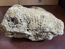 Pound natural dry for sale  Greenville