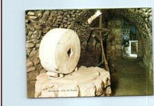 Postcard olive oil for sale  Stevens Point