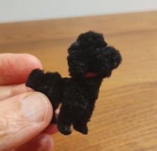 black miniature poodle for sale black miniature poodle for sale LONDON