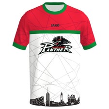 Sommertrikot skyline getragen gebraucht kaufen  Augsburg